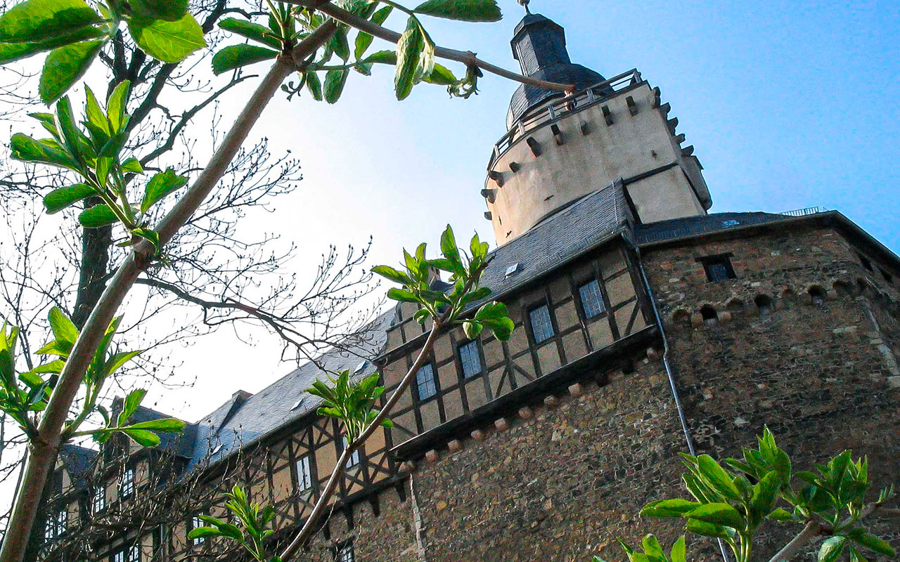 Schildmauer Burg Falkenstein mit Bergfried